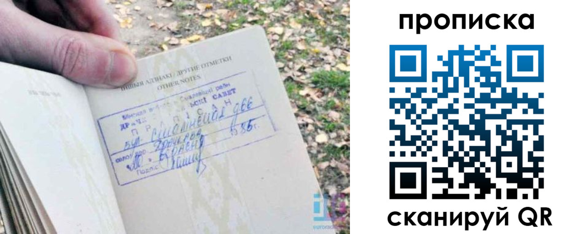 прописка ребенка в Рыбинске